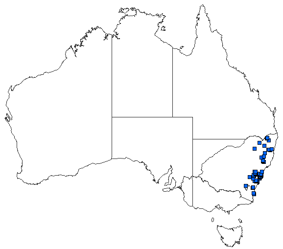 Australian distribution of Telephlebia godeffroyi