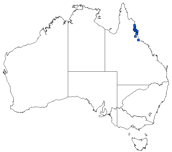 Australian distribution of Telephlebia tillyardi