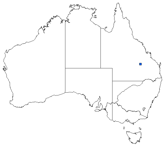 Australian distribution of Telephlebia undia