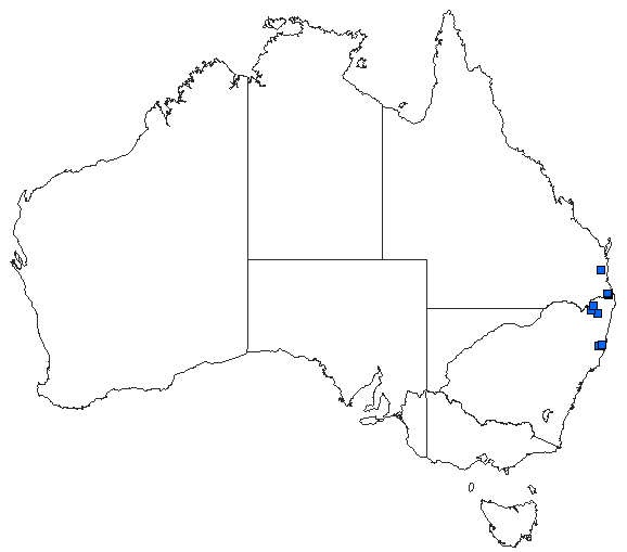 Australian distribution of Tonyosynthemis ofarrelli