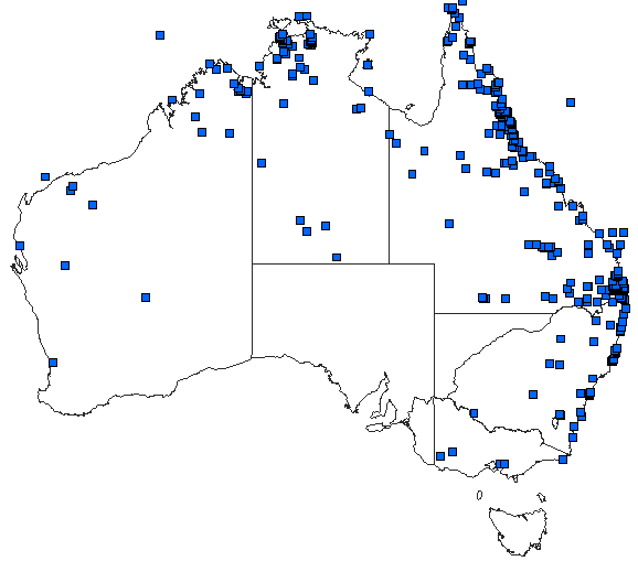 Australian distribution of Tramea loewii