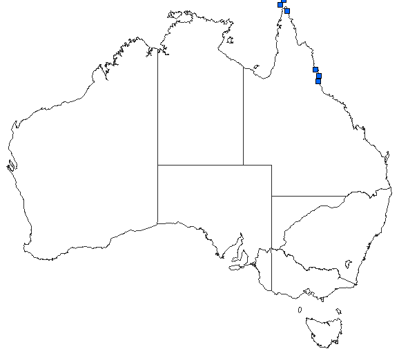 Australian distribution of Tramea propinqua