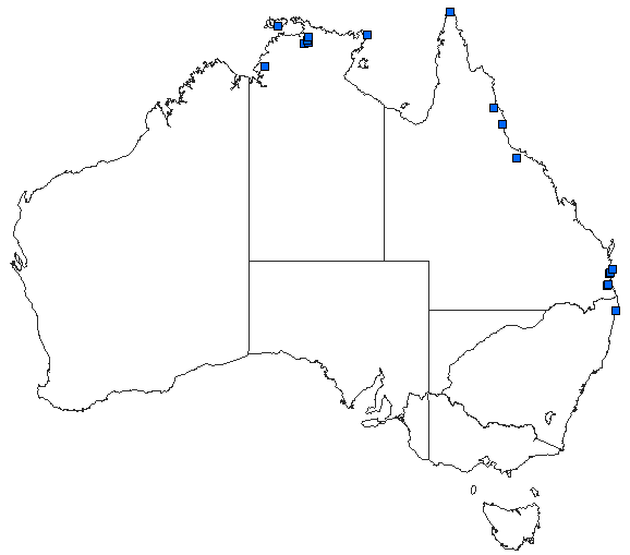 Australian distribution of Urothemis aliena