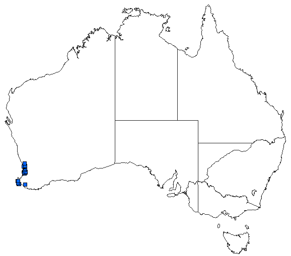 Australian distribution of Zephyrogomphus lateralis