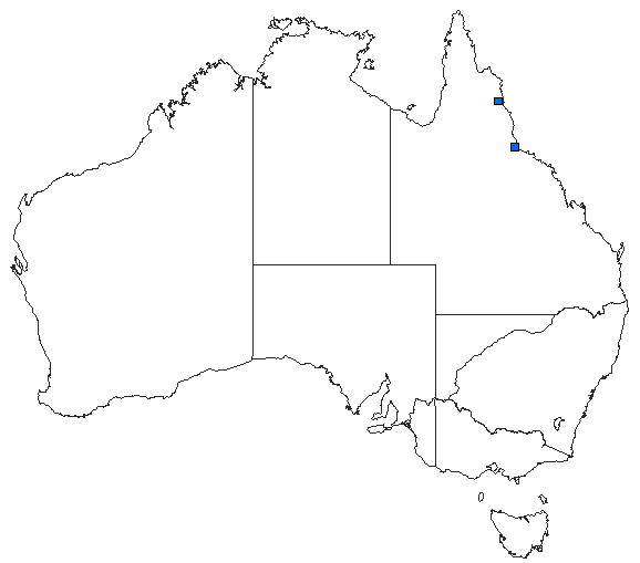 Australian distribution of Zephyrogomphus longipositor