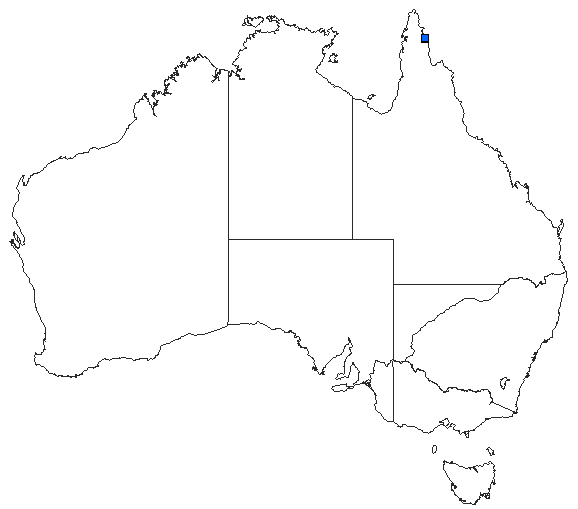 Australian distribution of Zyxomma multinervorum