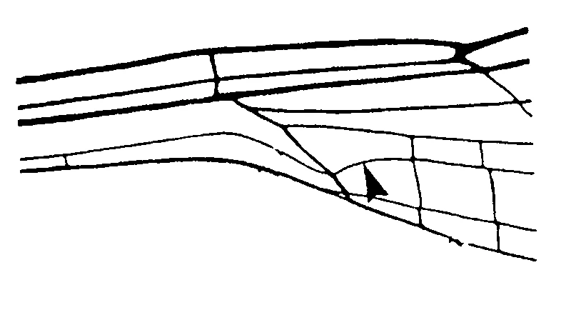 couplet drawing
