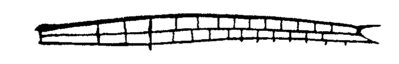 couplet drawing