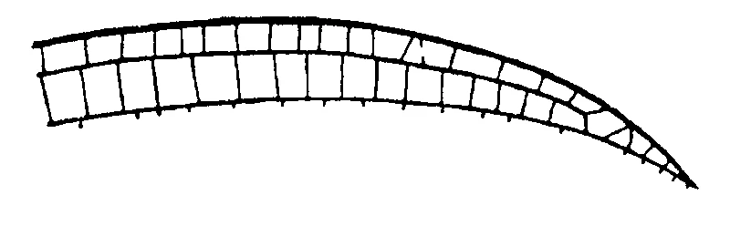 couplet drawing