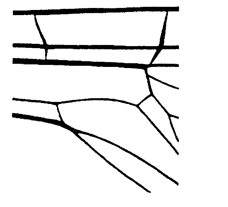 couplet drawing