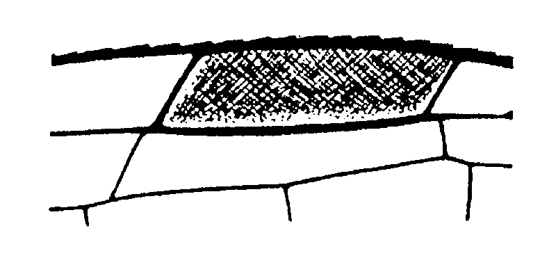 couplet drawing