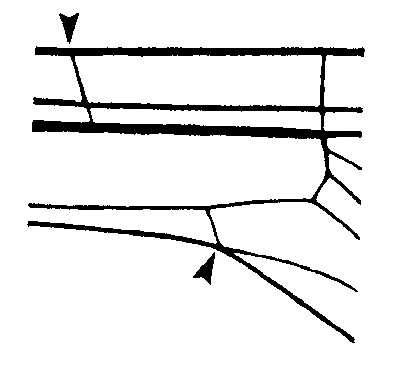 couplet drawing