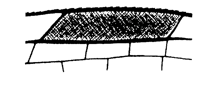 couplet drawing