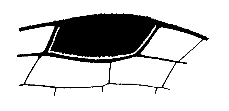 couplet drawing