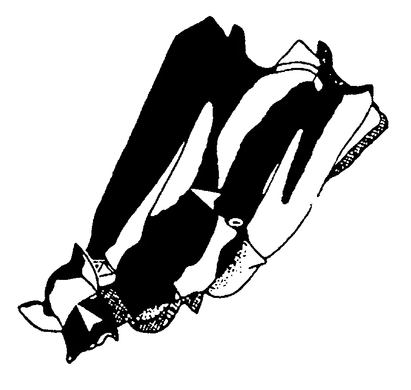 couplet drawing