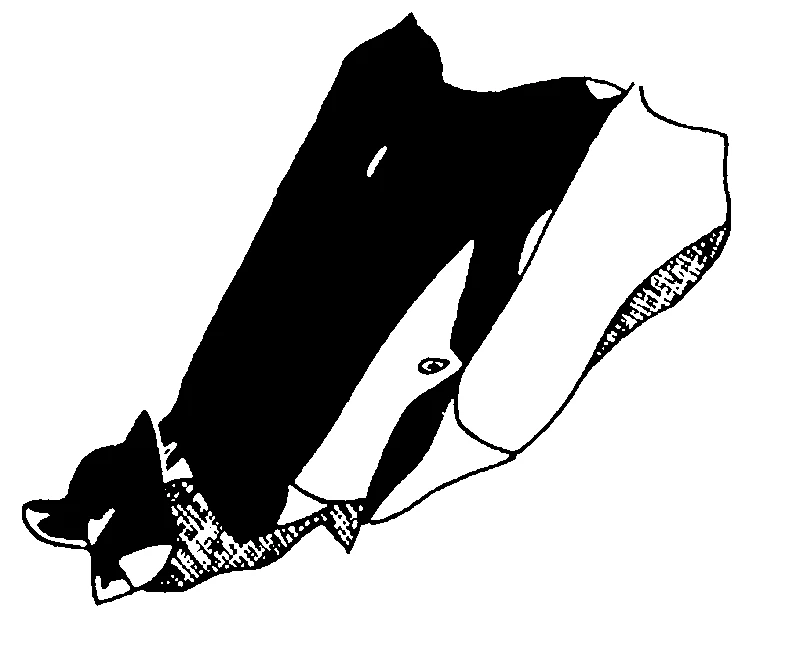 couplet drawing