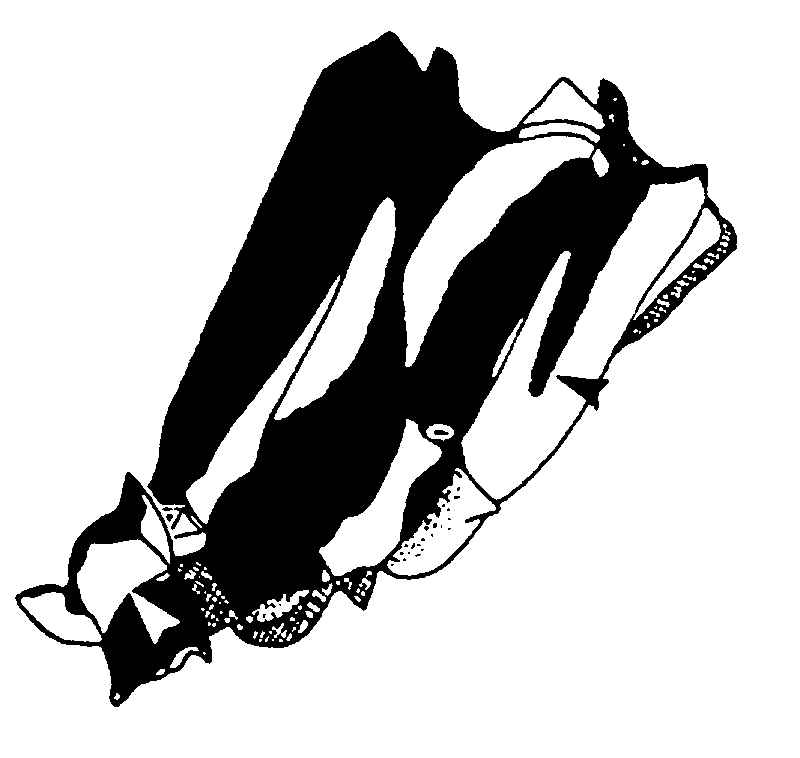 couplet drawing
