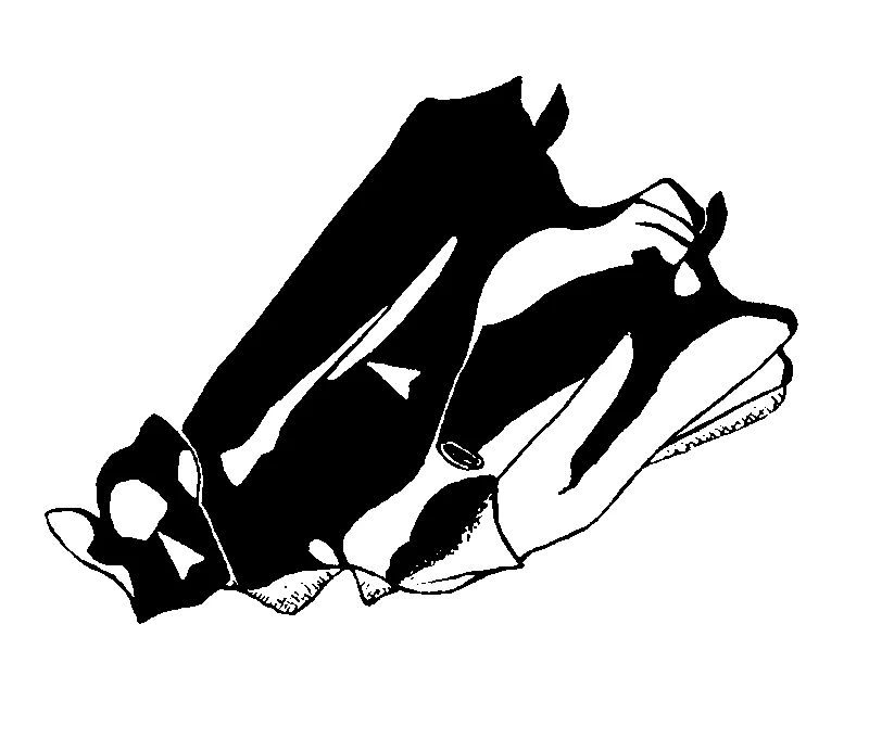 couplet drawing