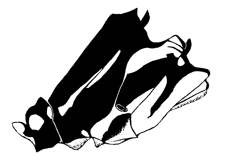 couplet drawing