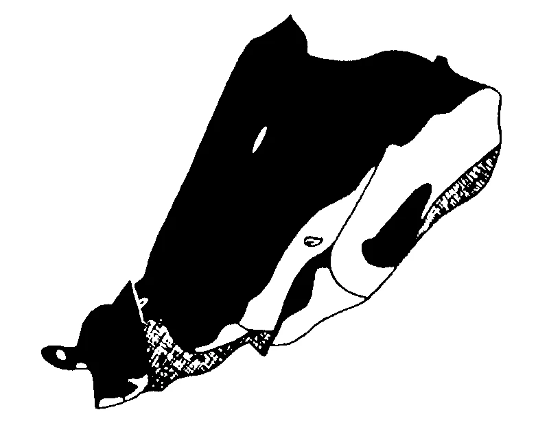 couplet drawing