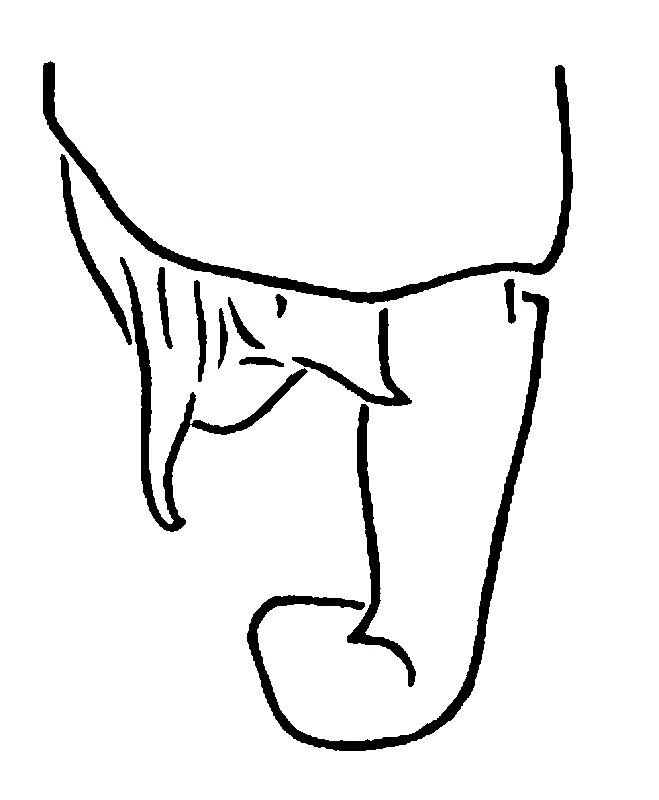 couplet drawing