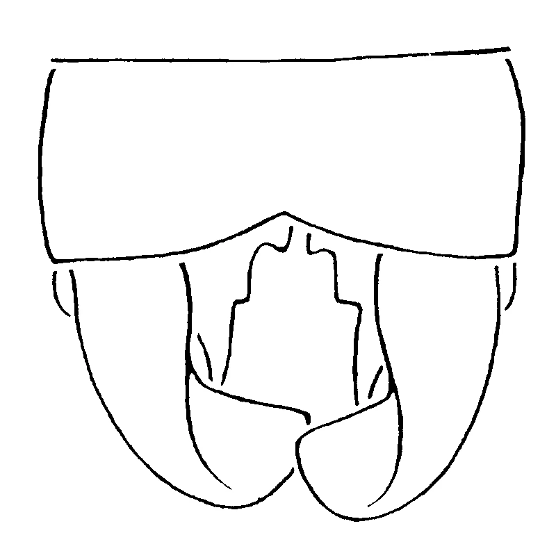 couplet drawing