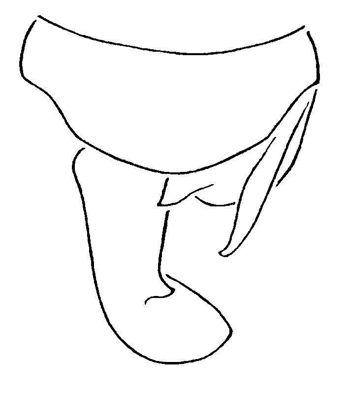 couplet drawing