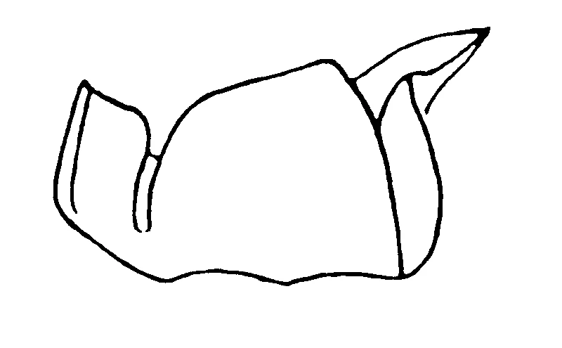 couplet drawing