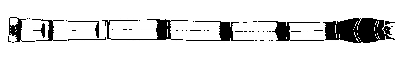couplet drawing