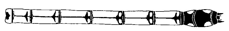 couplet drawing