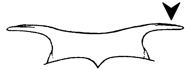 couplet drawing