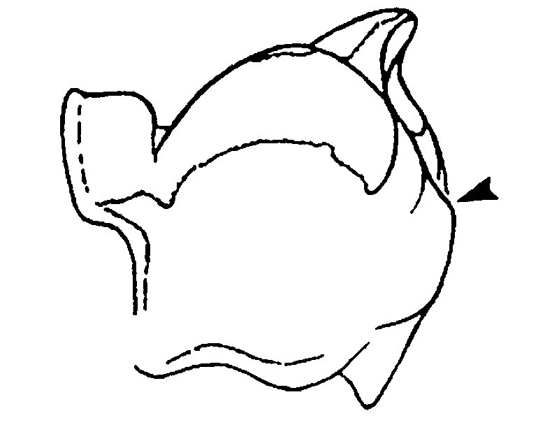 couplet drawing
