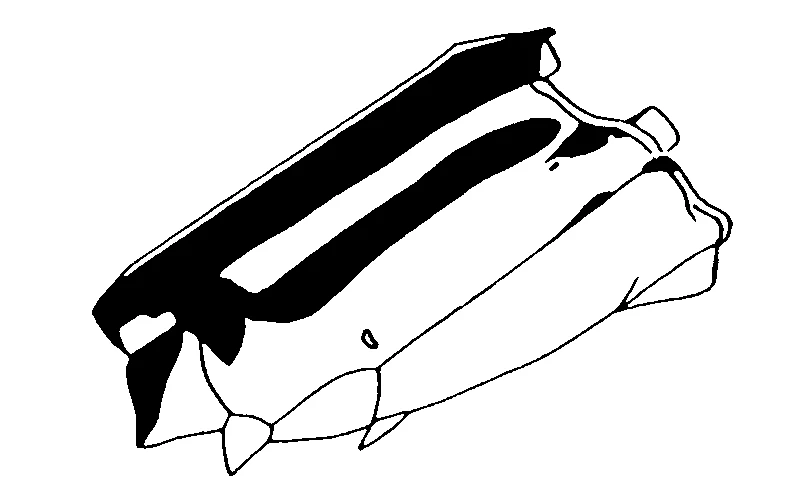 couplet drawing