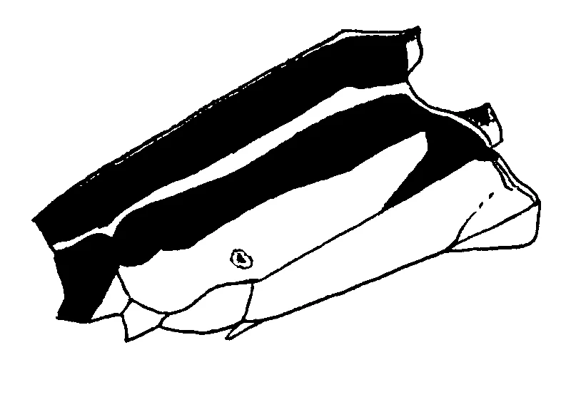 couplet drawing
