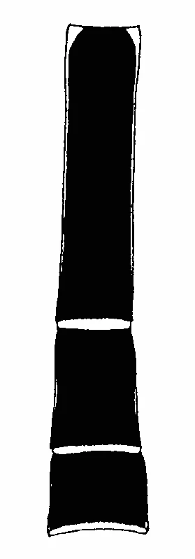 couplet drawing