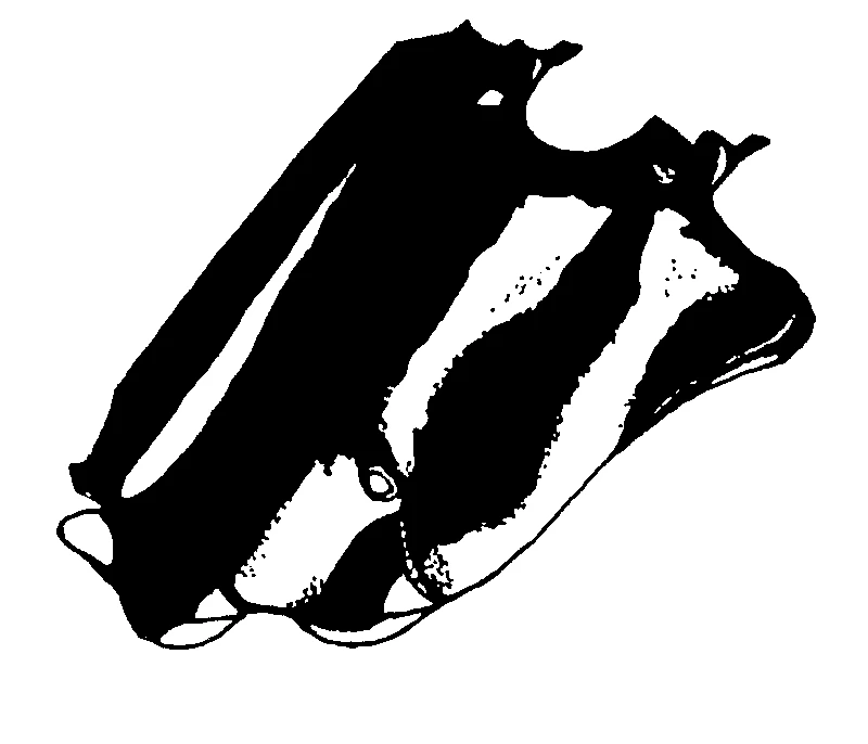 couplet drawing