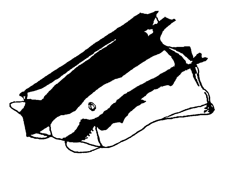 couplet drawing