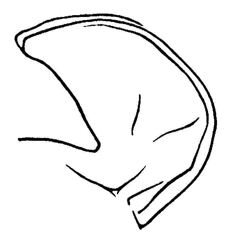 couplet drawing