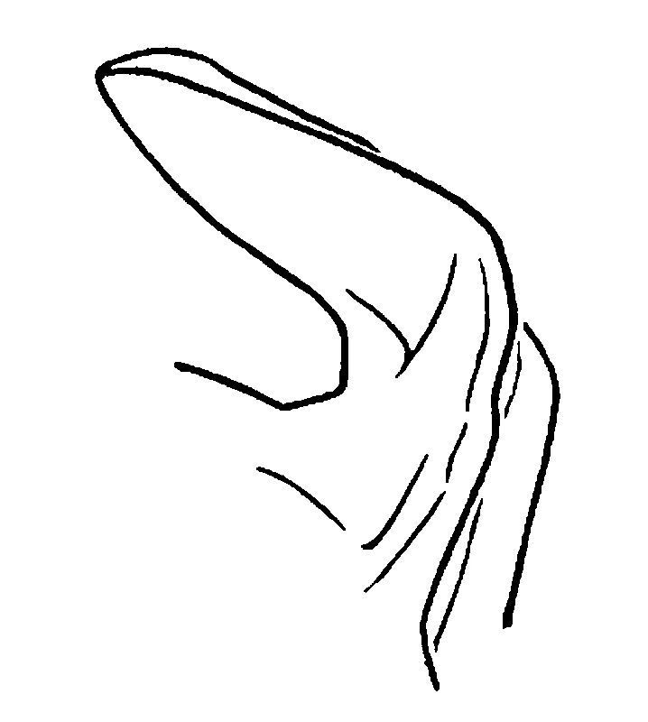 couplet drawing