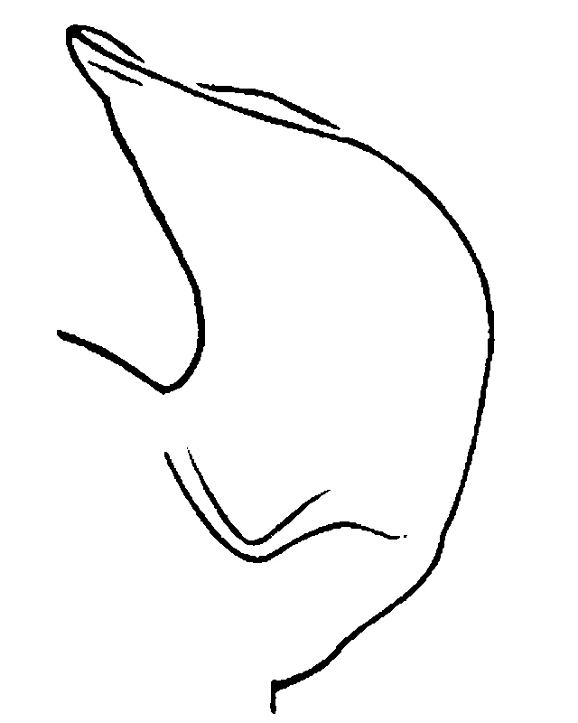 couplet drawing