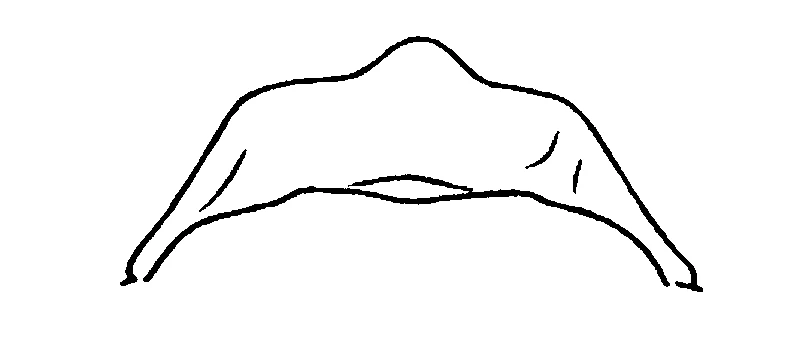 couplet drawing