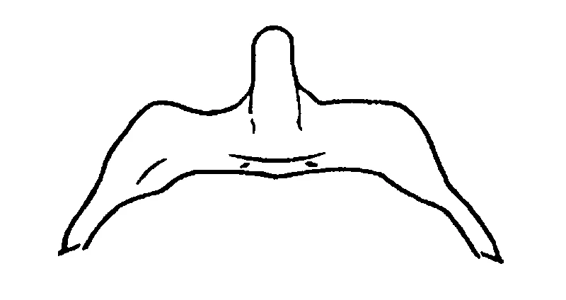 couplet drawing