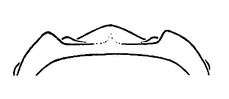 couplet drawing