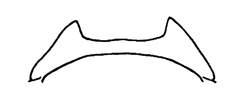 couplet drawing