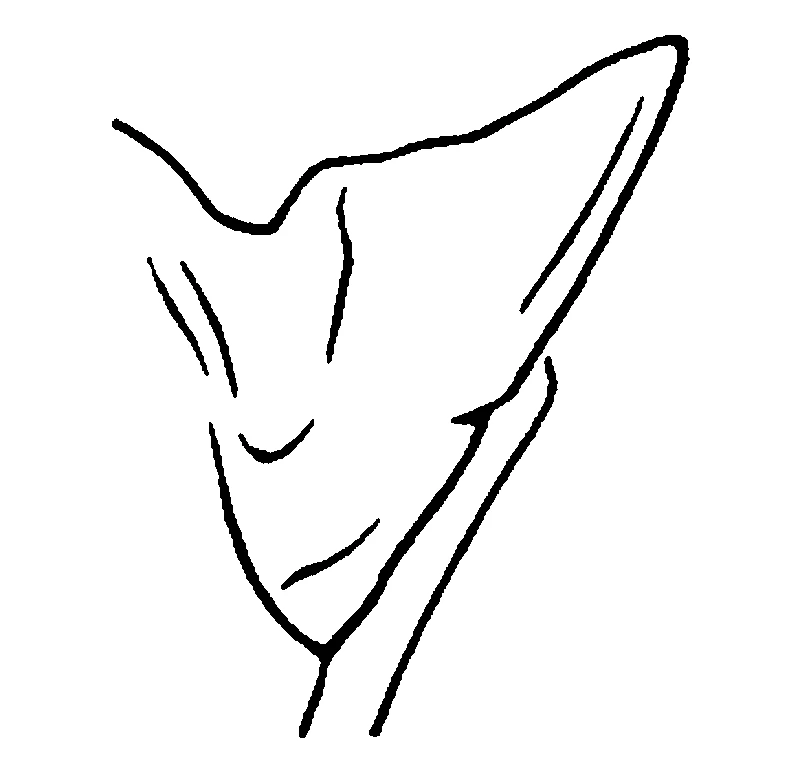 couplet drawing