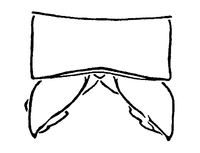 couplet drawing