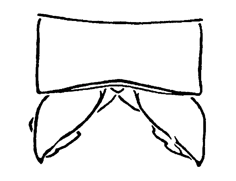 couplet drawing