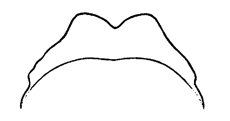 couplet drawing
