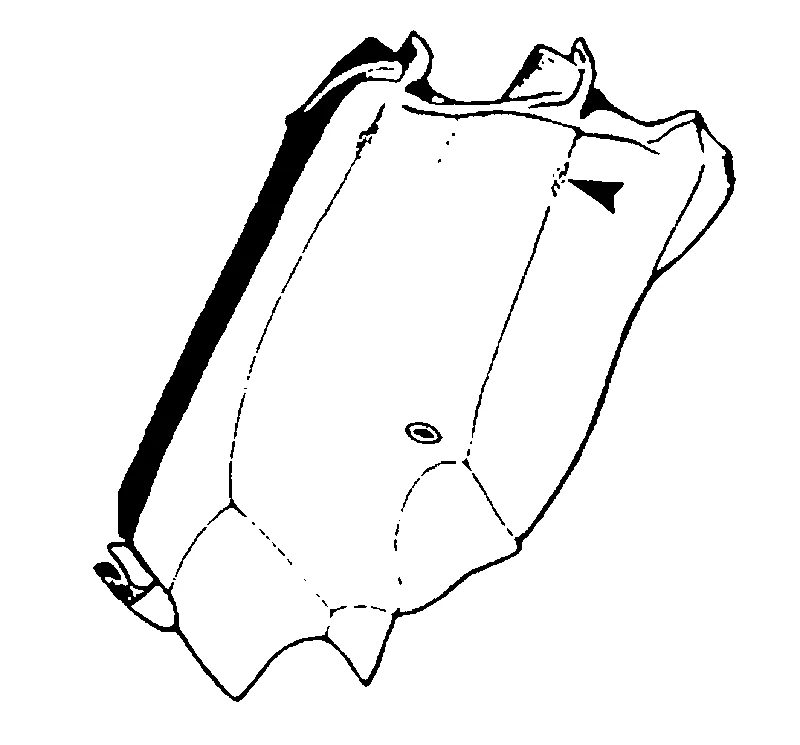 couplet drawing