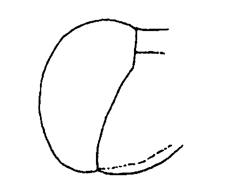 couplet drawing